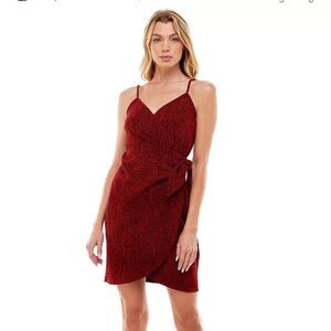 NWT lily rose maroon dress